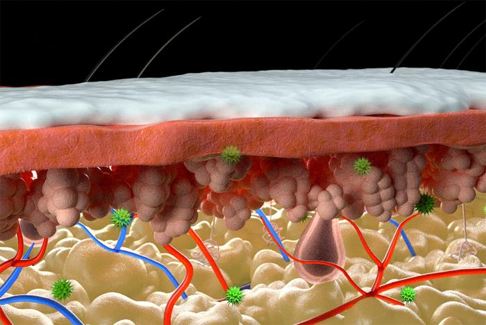 Layer of synthetic melanin