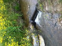 Stream Cross-Vane Structure
