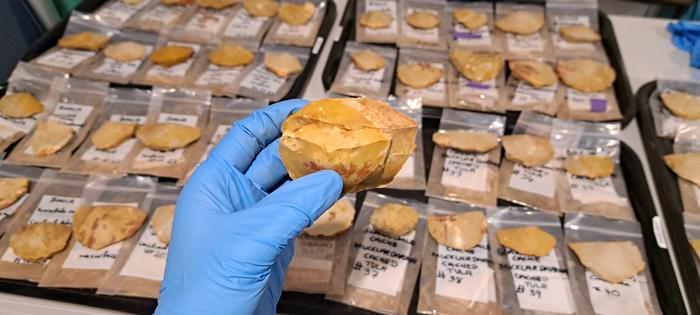 A pair of tulas held up with rest of the cache displayed behind