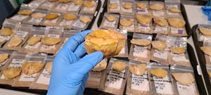 A pair of tulas held up with rest of the cache displayed behind