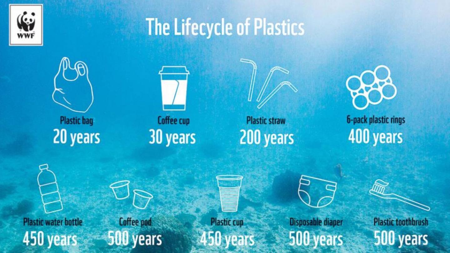 Infographics
