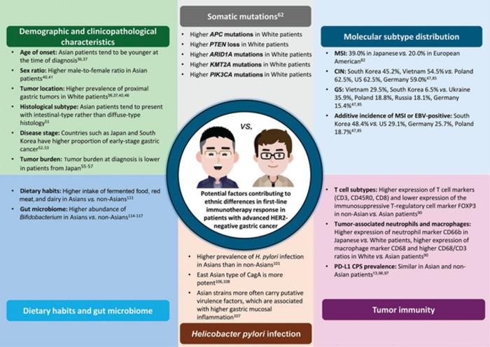 Potential factors contributing to ethnic differences in the immunotherapy response in Asian versus non-Asian patients with HER2-negative gastric cancer.