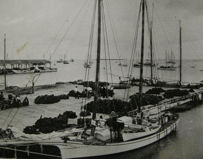 Schooners at Key West Sponge Docks