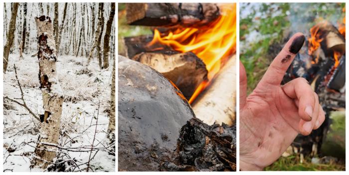 Antibacterial properties of experimentally produced birch tar and its medicinal affordances in the Pleistocene