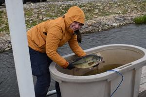 Allison Hay with largemouth bass