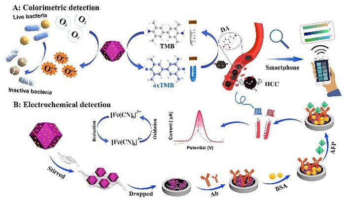 The schematic illustration for the fabrication of PW₁₂@ZIF-67-Au and the derived dual-mode detection process and antibacterial activity