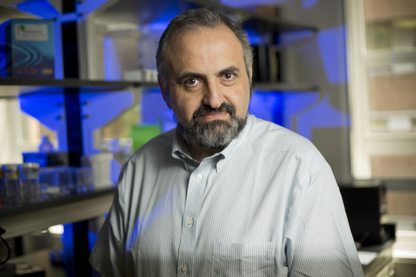 Dmitry l. Gabrilovich, MD, Ph.D.