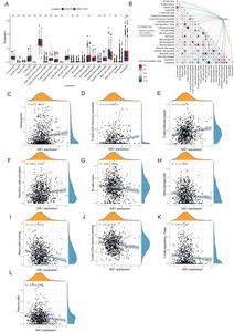 SIK1 is closely associated with multiple asthma-linked immune cells.