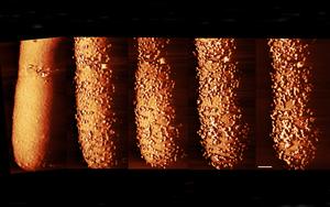 Startling images show how antibiotic pierces bacteria’s armour (2))