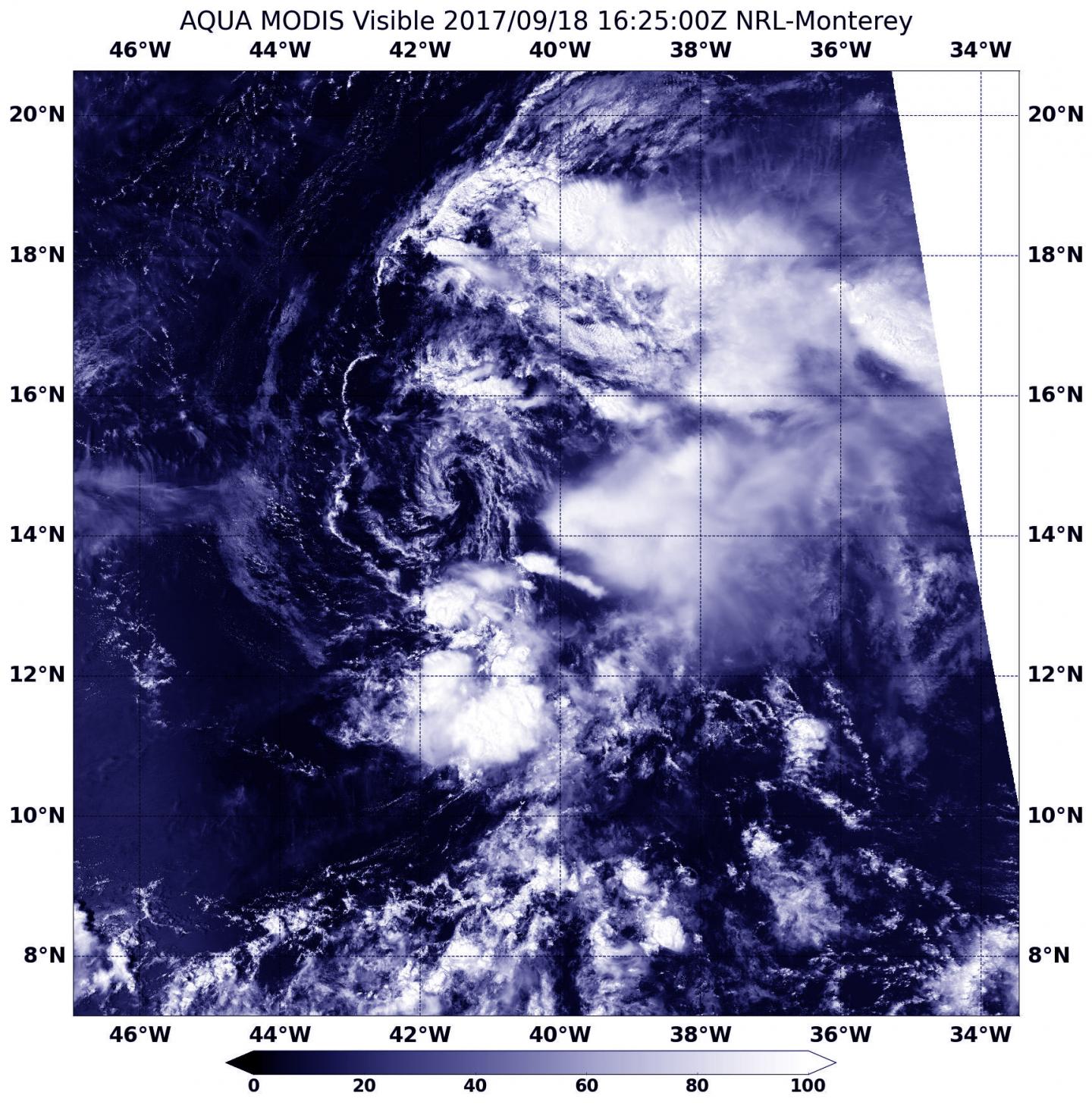 Aqua image of Lee