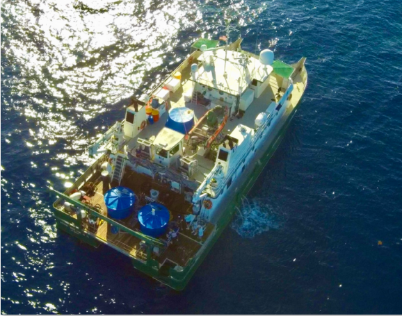 Popular Sport Fish Are Behaviorally Impaired from Exposure to Crude Oil, Study Finds