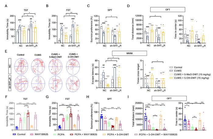 Figure 4. 5-OH-DMT and 5-MeO-DMT exhibited similar improvement against depressive-like behaviors through 5-HT1AR.