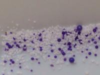Measuring Microplastics