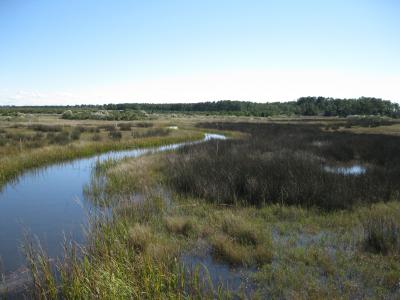 Collecting More, Better Water Quality Data