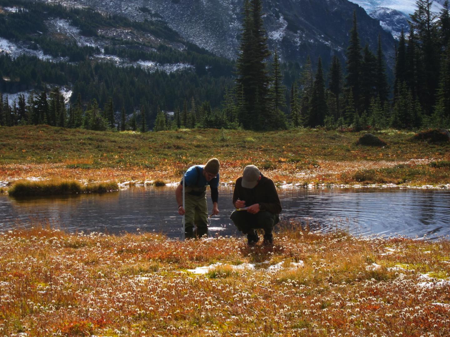 Researchers in Field