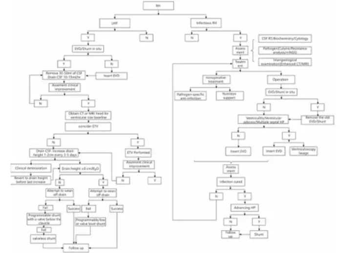 Diagnosis and Management of Infectious and Low-Pressure Refractory Hydrocephalus