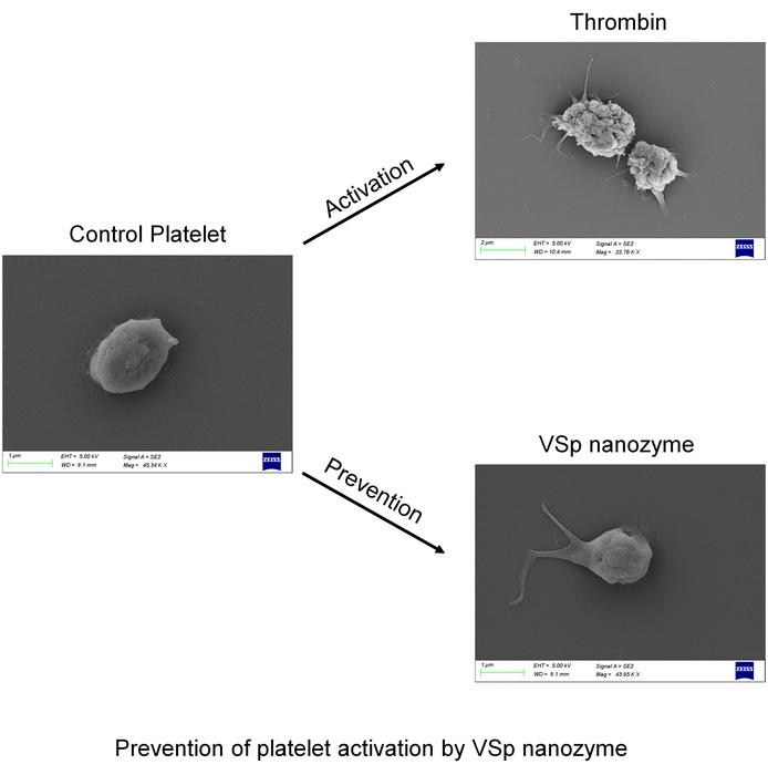 Prevention of platelet activation by VSp nanozyme