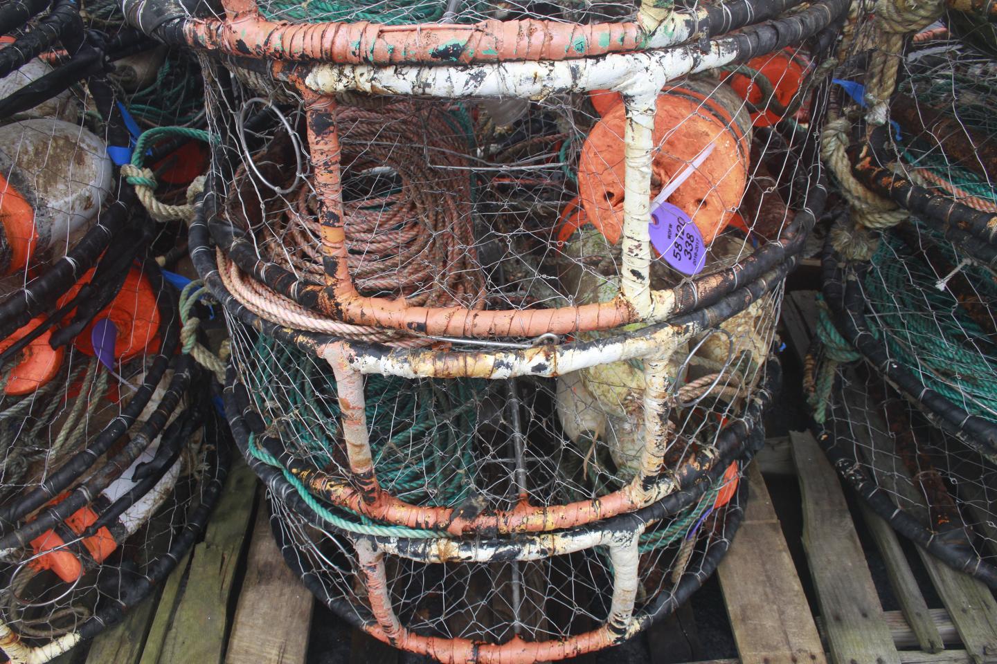 Stacked Dungeness crab pots.