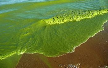 Projected Precipitation Increases are Bad News for Water Quality