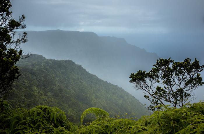 Hawai'i Rainfall