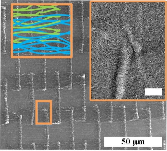 Architectured Carbon Nanotube