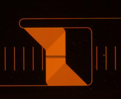 Microspectrometer Micrograph