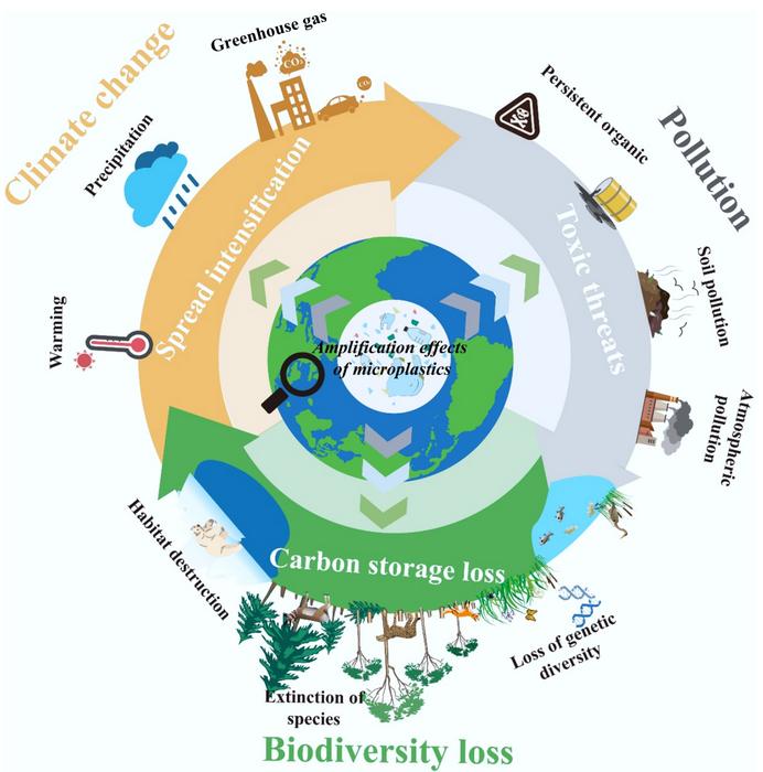 Revisiting the detection, fate, and health risks of microplastics in the environment through artificial intelligence