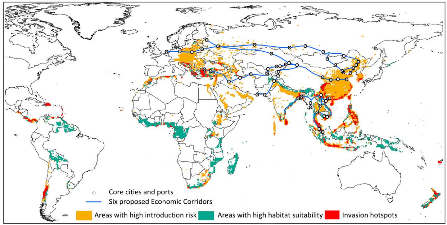 Areas with Risks of Biological Invasion on the Belt and Road
