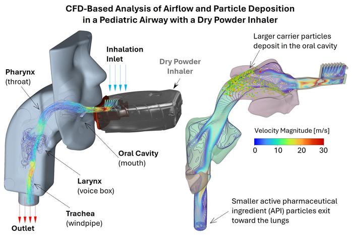 Dry Powder Inhaler