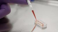 Emulate's Organs-on-Chips Technology (3 of 3)