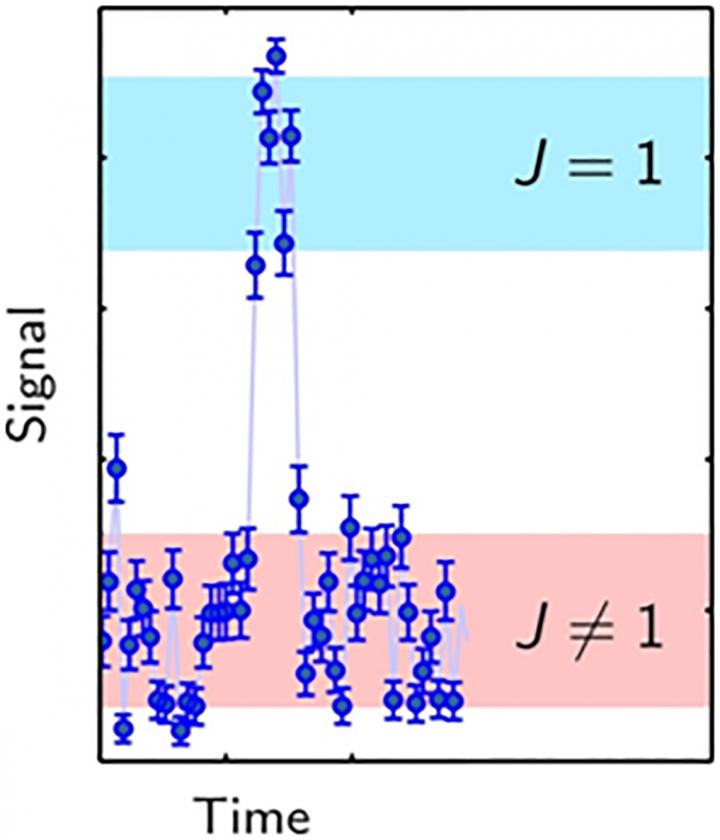 Typical Detection Signal