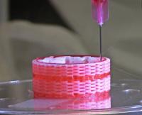 Bioprinted Trachea Construct 2