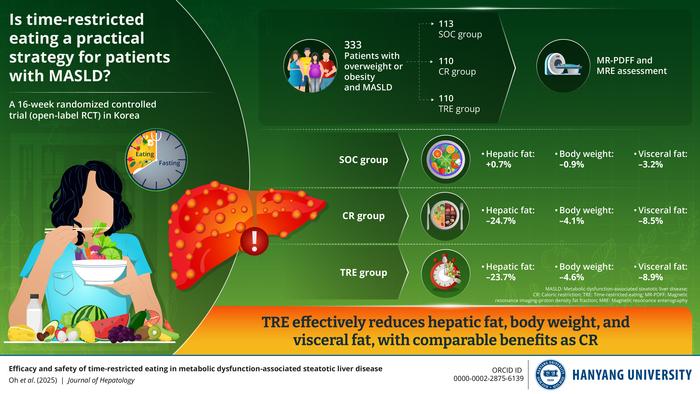 Meal Timing matters: Hanyang University Study Links Time-Restricted Eating to Lower Steatosis Control