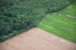 Land use