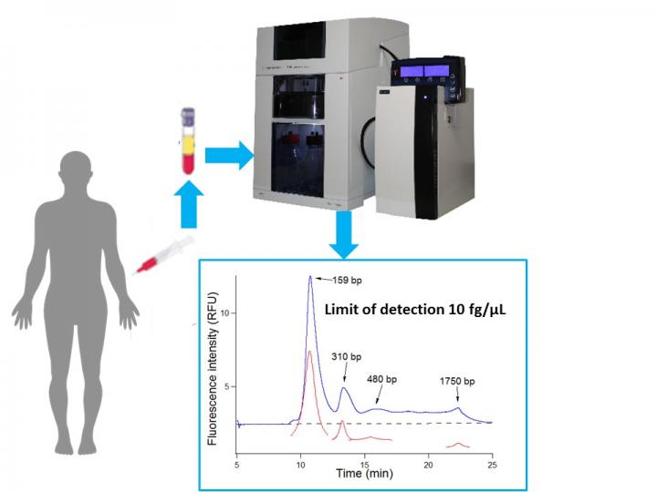 Principle of the BIABooster Analytical System