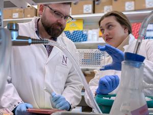 Study authors Miska and Billingham reading out enzymatic activity of microglia in cell cultures