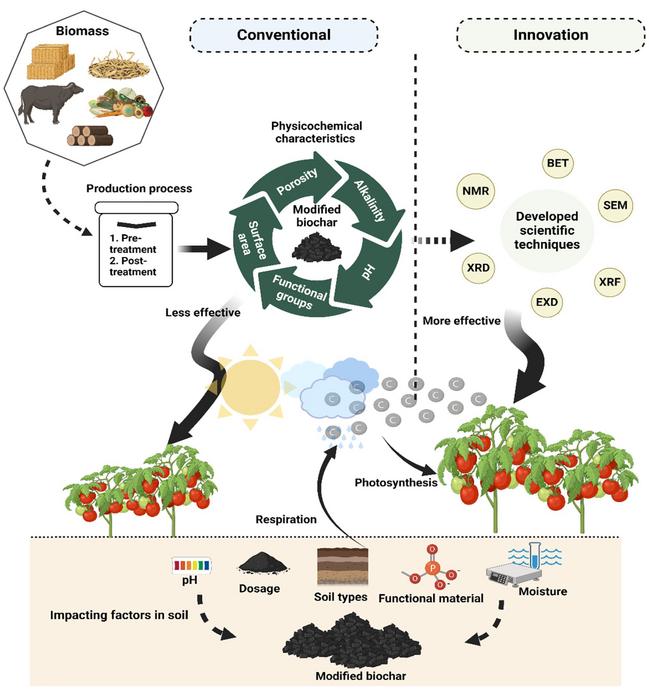 Advancing modified biochar for sustainable agriculture: a comprehensive review on characterization, analysis, and soil performance