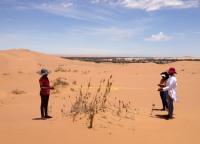 Characterizing plant and landscape features