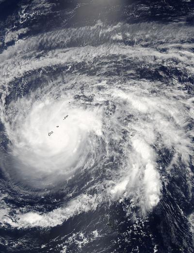 MODIS image of Dolphin