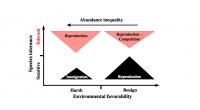 Conceptual Framework