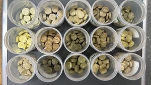 All 15 species of weeds in pellet form