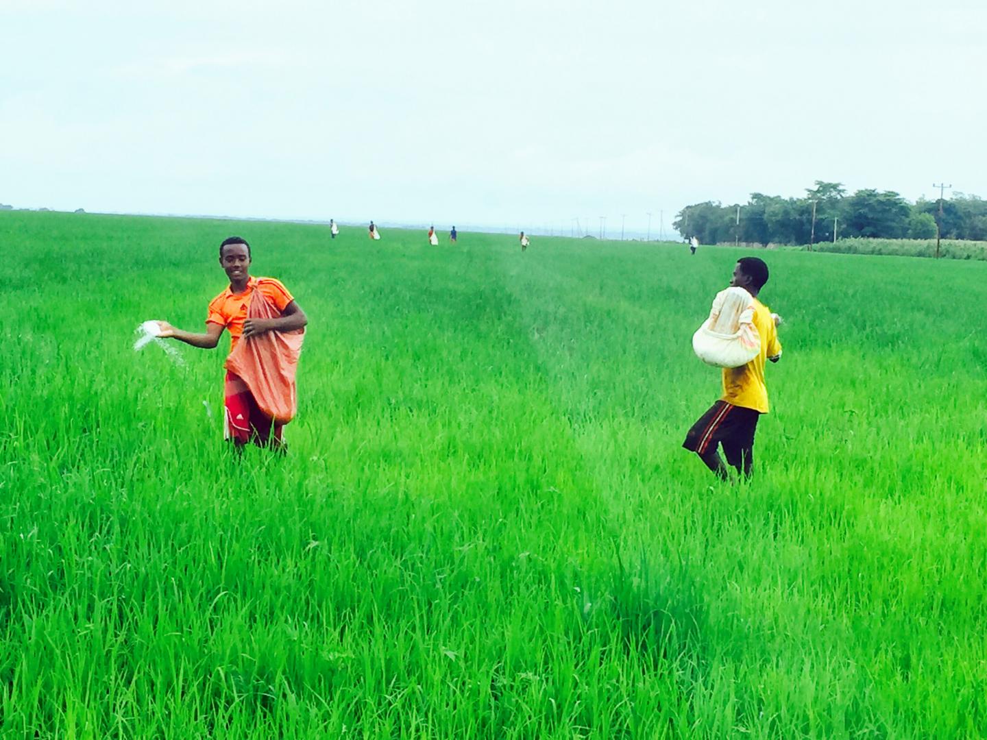 $9.6 Million Grant Fuels UCI Malaria Control Research in Africa