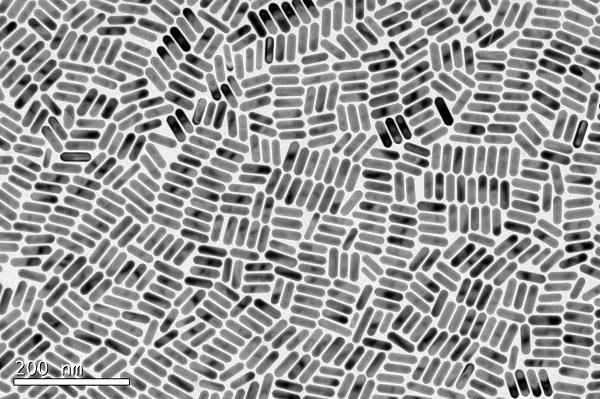 Ultramonodisperse Gold Nanorods in Biomedicine