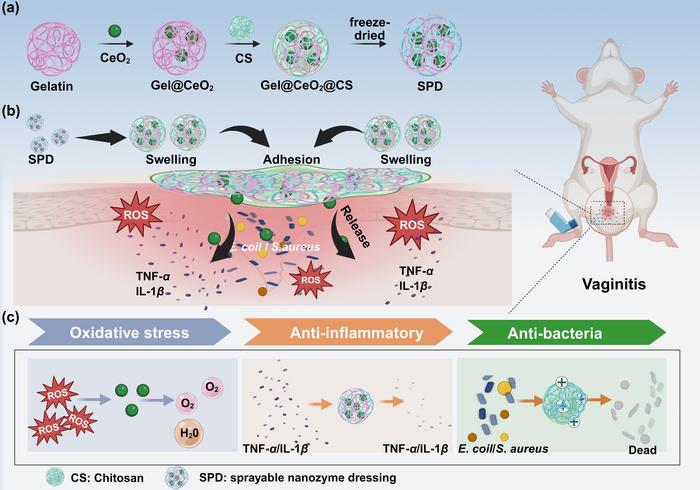 Sprayable nanozyme dressing for aerobic vaginitis treatment