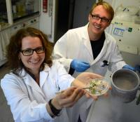 Katja Meyer and Tino Köster, Bielefeld University
