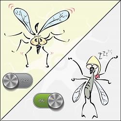 Fruit Flies