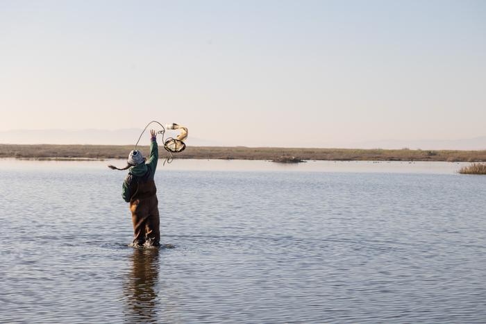 Throwing tow net into Suisun Marsh