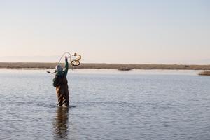 Throwing tow net into Suisun Marsh