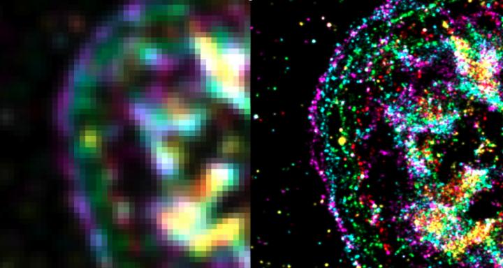 Lighting up the Activity of a Cell