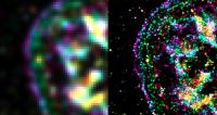 Lighting up the Activity of a Cell